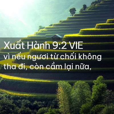 Picture 02 - Xuất Hành 9:2 VIE - vì nếu ngươi từ chối không tha đi, - Bible Verse Picture