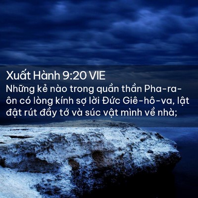 Picture 02 - Xuất Hành 9:20 VIE - Những kẻ nào trong quần thần Pha-ra-ôn - Bible Verse Picture