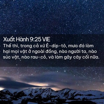 Picture 02 - Xuất Hành 9:25 VIE - Thế thì, trong cả xứ Ê-díp-tô, mưa - Bible Verse Picture