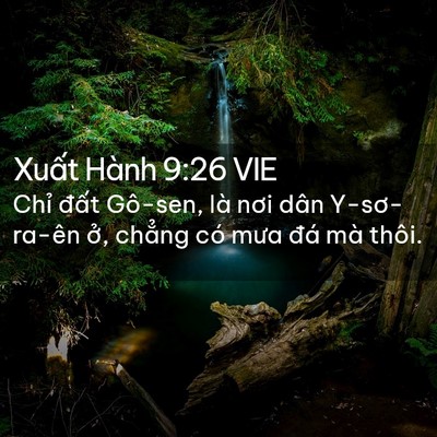 Picture 02 - Xuất Hành 9:26 VIE - Chỉ đất Gô-sen, là nơi dân Y-sơ-ra-ên - Bible Verse Picture