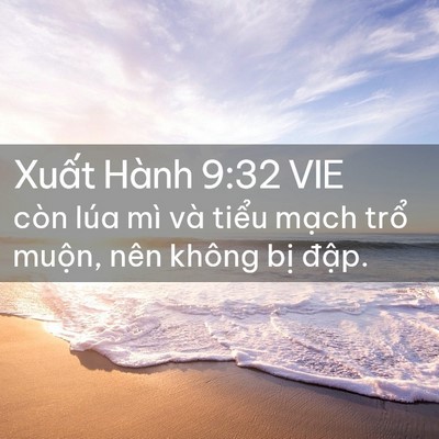 Picture 02 - Xuất Hành 9:32 VIE - còn lúa mì và tiểu mạch trổ muộn, - Bible Verse Picture