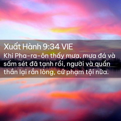 Picture 02 - Xuất Hành 9:34 VIE - Khi Pha-ra-ôn thấy mưa, mưa đá và sấm - Bible Verse Picture