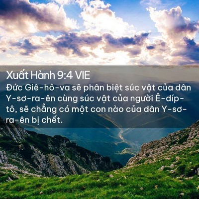 Picture 02 - Xuất Hành 9:4 VIE - Đức Giê-hô-va sẽ phân biệt súc vật - Bible Verse Picture