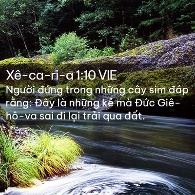 Picture 02 - Xê-ca-ri-a 1:10 VIE - Người đứng trong những cây sim đáp - Bible Verse Picture