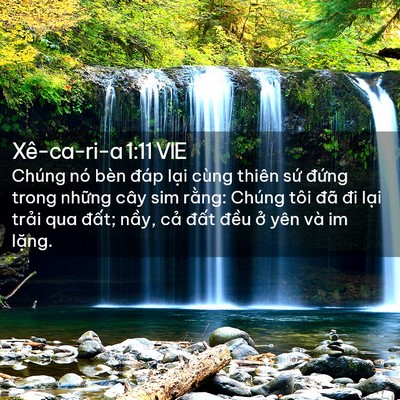 Picture 02 - Xê-ca-ri-a 1:11 VIE - Chúng nó bèn đáp lại cùng thiên sứ - Bible Verse Picture