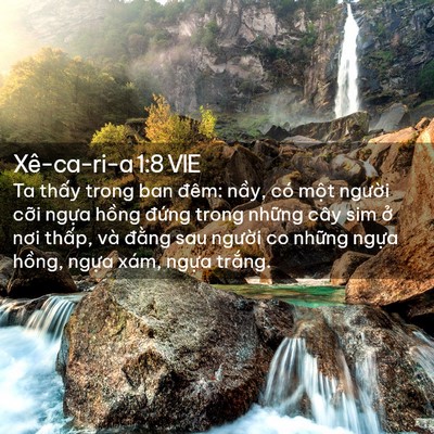 Picture 02 - Xê-ca-ri-a 1:8 VIE - Ta thấy trong ban đêm: nầy, có một - Bible Verse Picture