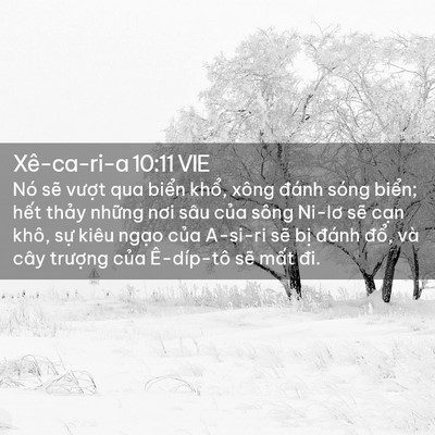 Picture 02 - Xê-ca-ri-a 10:11 VIE - Nó sẽ vượt qua biển khổ, xông đánh - Bible Verse Picture