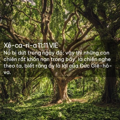 Picture 02 - Xê-ca-ri-a 11:11 VIE - Nó bị dứt trong ngày đó; vậy thì - Bible Verse Picture