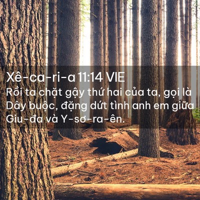 Picture 02 - Xê-ca-ri-a 11:14 VIE - Rồi ta chặt gậy thứ hai của ta, gọi - Bible Verse Picture