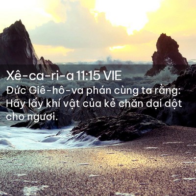Picture 02 - Xê-ca-ri-a 11:15 VIE - Đức Giê-hô-va phán cùng ta rằng: Hãy - Bible Verse Picture