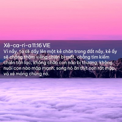 Picture 02 - Xê-ca-ri-a 11:16 VIE - Vì nầy, ta sẽ dấy lên một kẻ chăn - Bible Verse Picture