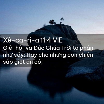 Picture 02 - Xê-ca-ri-a 11:4 VIE - Giê-hô-va Đức Chúa Trời ta phán như - Bible Verse Picture