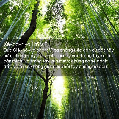 Picture 02 - Xê-ca-ri-a 11:6 VIE - Đức Giê-hô-va phán: Vì ta chẳng tiếc - Bible Verse Picture