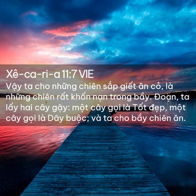 Picture 02 - Xê-ca-ri-a 11:7 VIE - Vậy ta cho những chiên sắp giết ăn - Bible Verse Picture