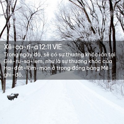 Picture 02 - Xê-ca-ri-a 12:11 VIE - Trong ngày đó, sẽ có sự thương khóc - Bible Verse Picture