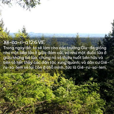 Picture 02 - Xê-ca-ri-a 12:6 VIE - Trong ngày đó, ta sẽ làm cho các trưởng - Bible Verse Picture