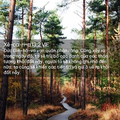 Picture 02 - Xê-ca-ri-a 13:2 VIE - Đức Giê-hô-va vạn quân phán rằng: - Bible Verse Picture