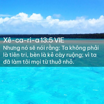 Picture 02 - Xê-ca-ri-a 13:5 VIE - Nhưng nó sẽ nói rằng: Ta không phải là - Bible Verse Picture