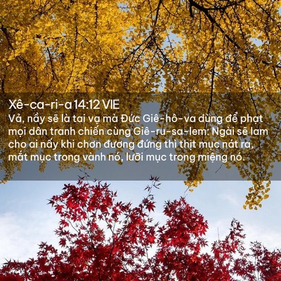 Picture 02 - Xê-ca-ri-a 14:12 VIE - Vả, nầy sẽ là tai vạ mà Đức - Bible Verse Picture