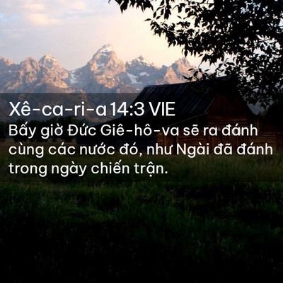 Picture 02 - Xê-ca-ri-a 14:3 VIE - Bấy giờ Đức Giê-hô-va sẽ ra đánh - Bible Verse Picture