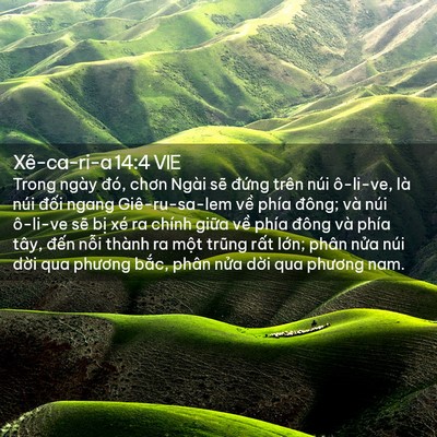 Picture 02 - Xê-ca-ri-a 14:4 VIE - Trong ngày đó, chơn Ngài sẽ đứng trên - Bible Verse Picture