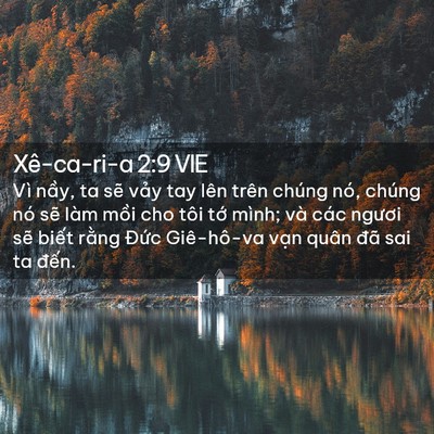 Picture 02 - Xê-ca-ri-a 2:9 VIE - Vì nầy, ta sẽ vảy tay lên trên chúng - Bible Verse Picture