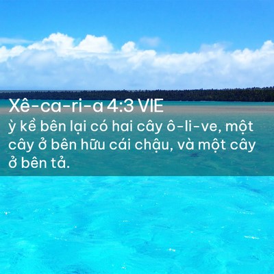Picture 02 - Xê-ca-ri-a 4:3 VIE - ỳ kề bên lại có hai cây ô-li-ve, một - Bible Verse Picture