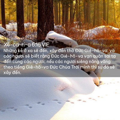 Picture 02 - Xê-ca-ri-a 6:15 VIE - Những kẻ ở xa sẽ đến, xây đền - Bible Verse Picture