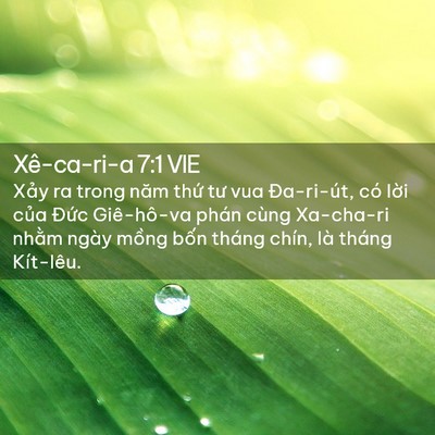 Picture 02 - Xê-ca-ri-a 7:1 VIE - Xảy ra trong năm thứ tư vua Đa-ri-út, có - Bible Verse Picture