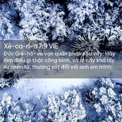 Picture 02 - Xê-ca-ri-a 7:9 VIE - Đức Giê-hô-va vạn quân phán như vầy: - Bible Verse Picture