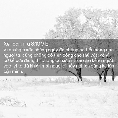 Picture 02 - Xê-ca-ri-a 8:10 VIE - Vì chưng trước những ngày đó chẳng - Bible Verse Picture