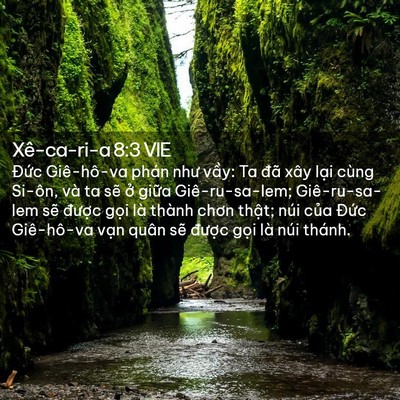 Picture 02 - Xê-ca-ri-a 8:3 VIE - Đức Giê-hô-va phán như vầy: Ta đã xây - Bible Verse Picture