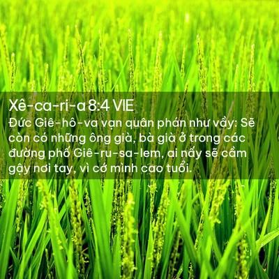 Picture 02 - Xê-ca-ri-a 8:4 VIE - Đức Giê-hô-va vạn quân phán như vầy: - Bible Verse Picture