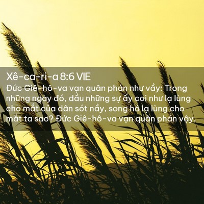 Picture 02 - Xê-ca-ri-a 8:6 VIE - Đức Giê-hô-va vạn quân phán như vầy: - Bible Verse Picture
