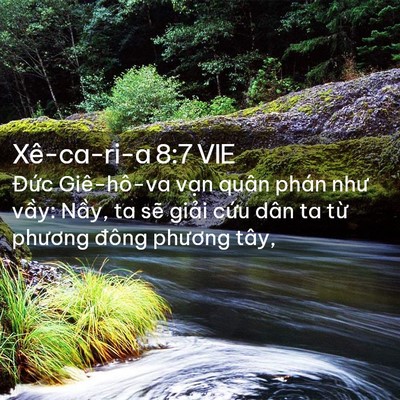 Picture 02 - Xê-ca-ri-a 8:7 VIE - Đức Giê-hô-va vạn quân phán như vầy: - Bible Verse Picture