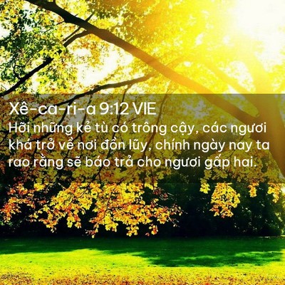 Picture 02 - Xê-ca-ri-a 9:12 VIE - Hỡi những kẻ tù có trông cậy, các - Bible Verse Picture