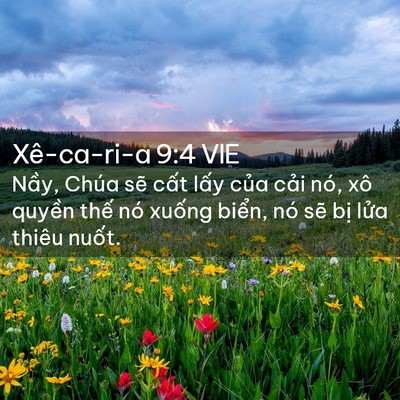 Picture 02 - Xê-ca-ri-a 9:4 VIE - Nầy, Chúa sẽ cất lấy của cải nó, - Bible Verse Picture