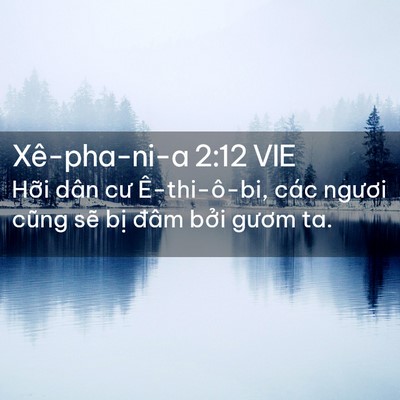 Picture 02 - Xê-pha-ni-a 2:12 VIE - Hỡi dân cư Ê-thi-ô-bi, các ngươi cũng - Bible Verse Picture
