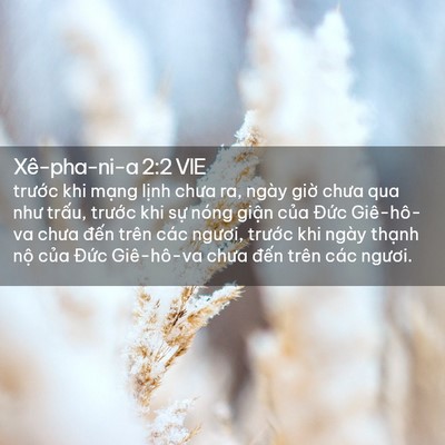 Picture 02 - Xê-pha-ni-a 2:2 VIE - trước khi mạng lịnh chưa ra, ngày giờ - Bible Verse Picture