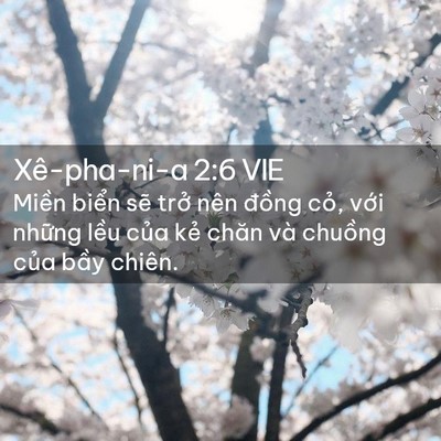 Picture 02 - Xê-pha-ni-a 2:6 VIE - Miền biển sẽ trở nên đồng cỏ, với - Bible Verse Picture