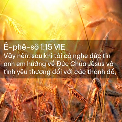 Picture 02 - Ê-phê-sô 1:15 VIE - Vậy nên, sau khi tôi có nghe đức tin anh - Bible Verse Picture