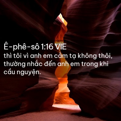Picture 02 - Ê-phê-sô 1:16 VIE - thì tôi vì anh em cảm tạ không thôi, - Bible Verse Picture