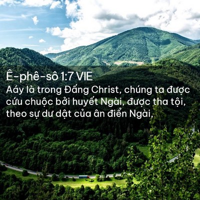 Picture 02 - Ê-phê-sô 1:7 VIE - Aáy là trong Đấng Christ, chúng ta được - Bible Verse Picture