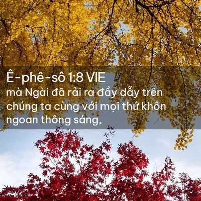 Picture 02 - Ê-phê-sô 1:8 VIE - mà Ngài đã rải ra đầy dẫy trên chúng - Bible Verse Picture
