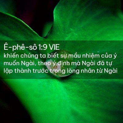 Picture 02 - Ê-phê-sô 1:9 VIE - khiến chúng ta biết sự mầu nhiệm của - Bible Verse Picture