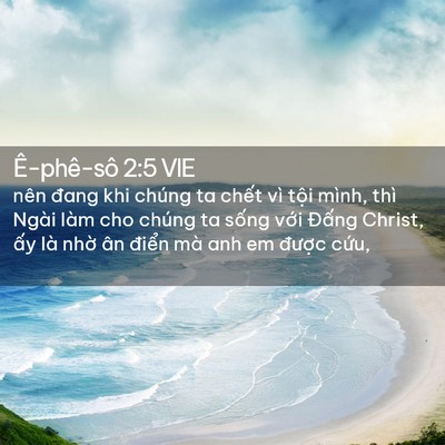 Picture 02 - Ê-phê-sô 2:5 VIE - nên đang khi chúng ta chết vì tội mình, - Bible Verse Picture