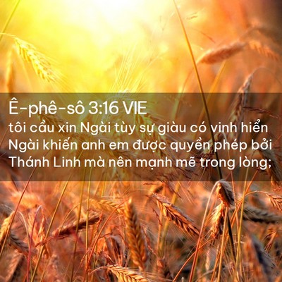 Picture 02 - Ê-phê-sô 3:16 VIE - tôi cầu xin Ngài tùy sự giàu có vinh - Bible Verse Picture