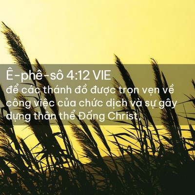 Picture 02 - Ê-phê-sô 4:12 VIE - để các thánh đồ được trọn vẹn - Bible Verse Picture