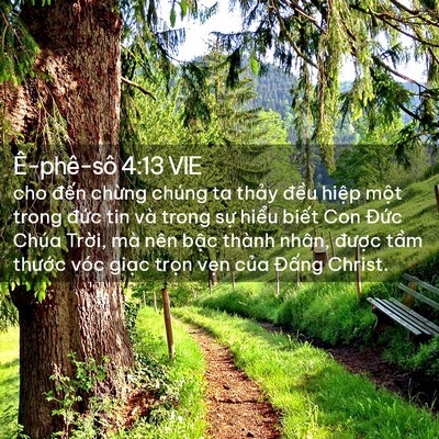 Picture 02 - Ê-phê-sô 4:13 VIE - cho đến chừng chúng ta thảy đều hiệp - Bible Verse Picture