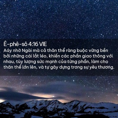 Picture 02 - Ê-phê-sô 4:16 VIE - Aáy nhờ Ngài mà cả thân thể ràng - Bible Verse Picture